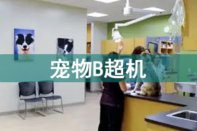 寵物b超機價格多少錢一臺？寵物B超為什